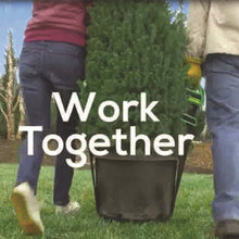 Load image into Gallery viewer, Move-EZ Straps