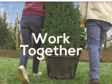 Load image into Gallery viewer, Move-EZ Straps