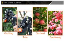 Load image into Gallery viewer, Pruning Shears
